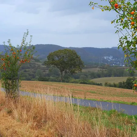 Holzchalet A-d By Interhome 別荘 ゲロルシュタイン