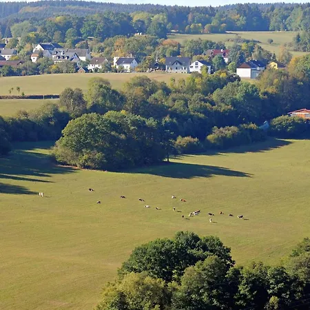 別荘 Holzchalet A-d By Interhome ゲロルシュタイン