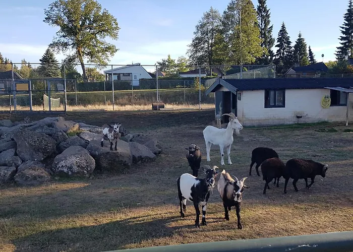 Dom wakacyjny Holzchalet A-d By Interhome *