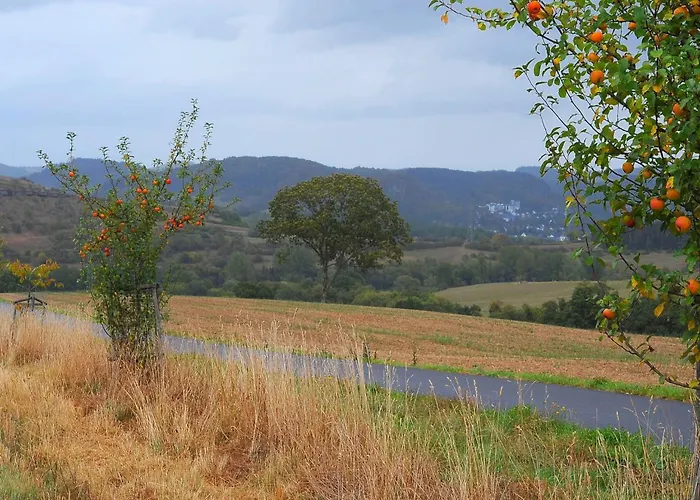 Holzchalet A-d By Interhome Dom wakacyjny Gerolstein